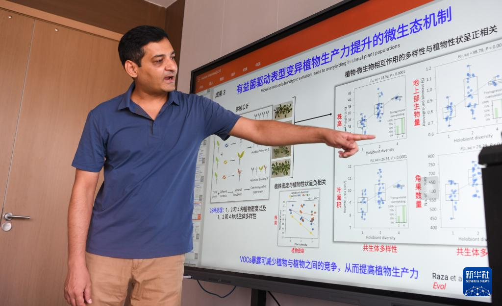 巴基斯坦专家瓦西姆·拉扎：我在海南研究香蕉“抗病密码”(图14)
