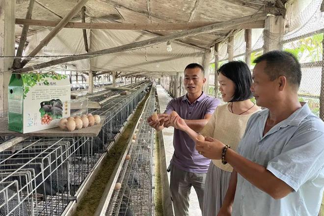 【党建领航(64)】弓田村第一书记冯汇琪：小村落也有大作为(图3)