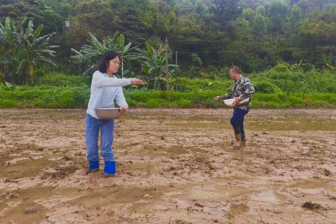 【党建领航(64)】弓田村第一书记冯汇琪：小村落也有大作为(图1)