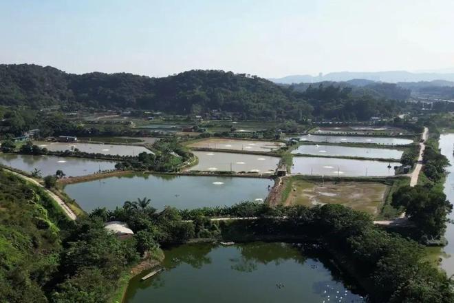 【党建领航(64)】弓田村第一书记冯汇琪：小村落也有大作为(图4)