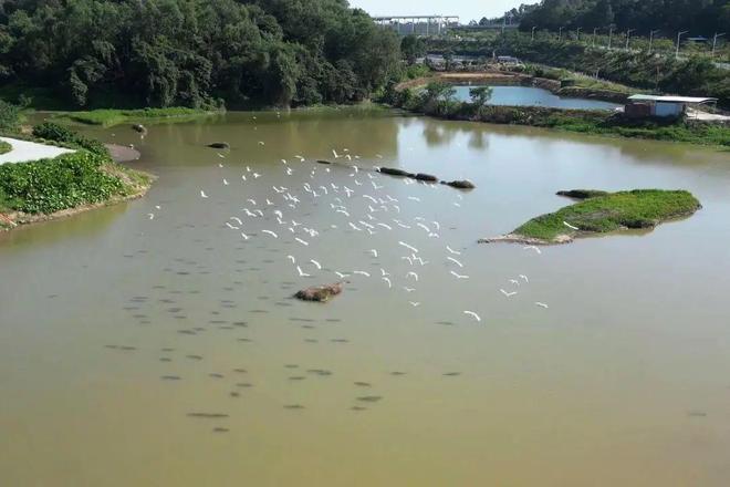 【党建领航(64)】弓田村第一书记冯汇琪：小村落也有大作为(图2)