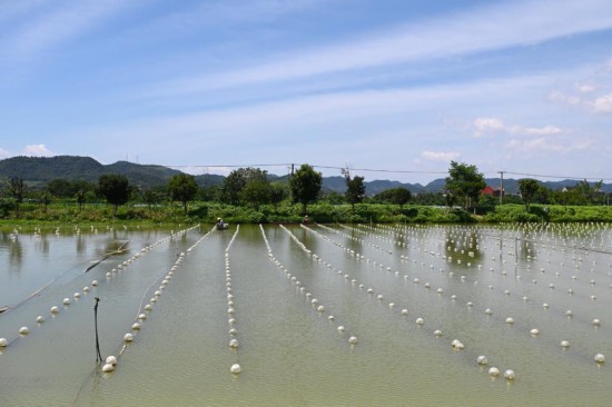 活力中国调研行｜江南水乡绿意浓——浙江产业绿色转型见闻(图2)