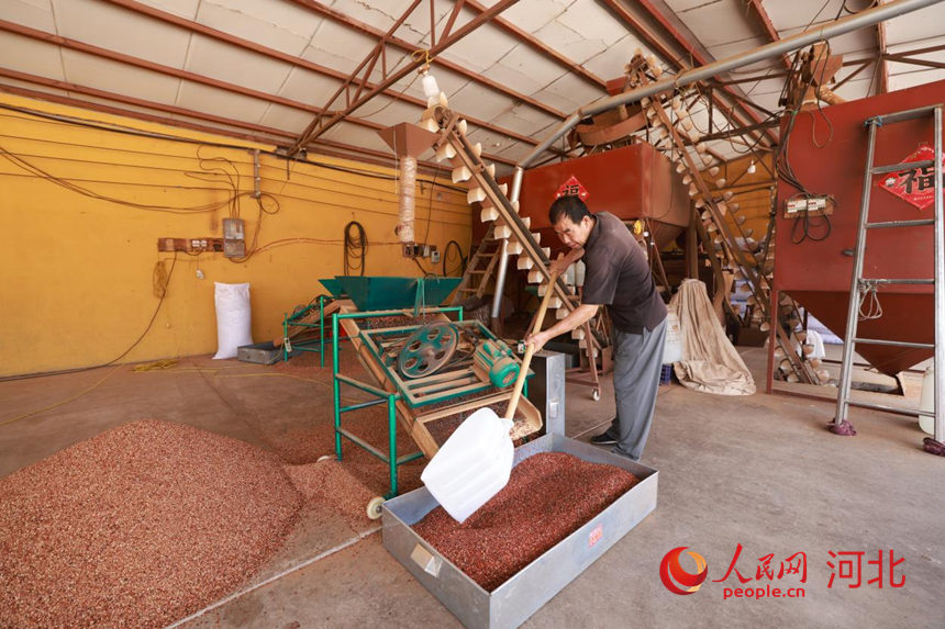 行进中国丨果树“变形记”(图3)