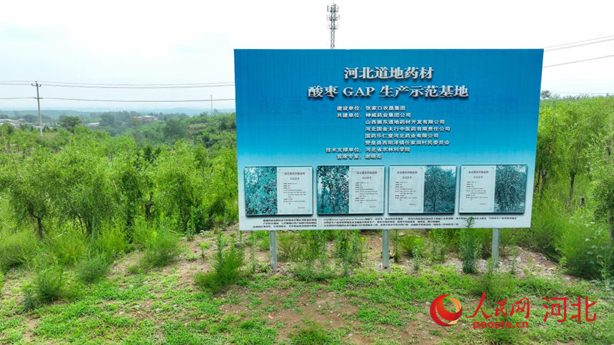 行进中国丨果树“变形记”(图1)