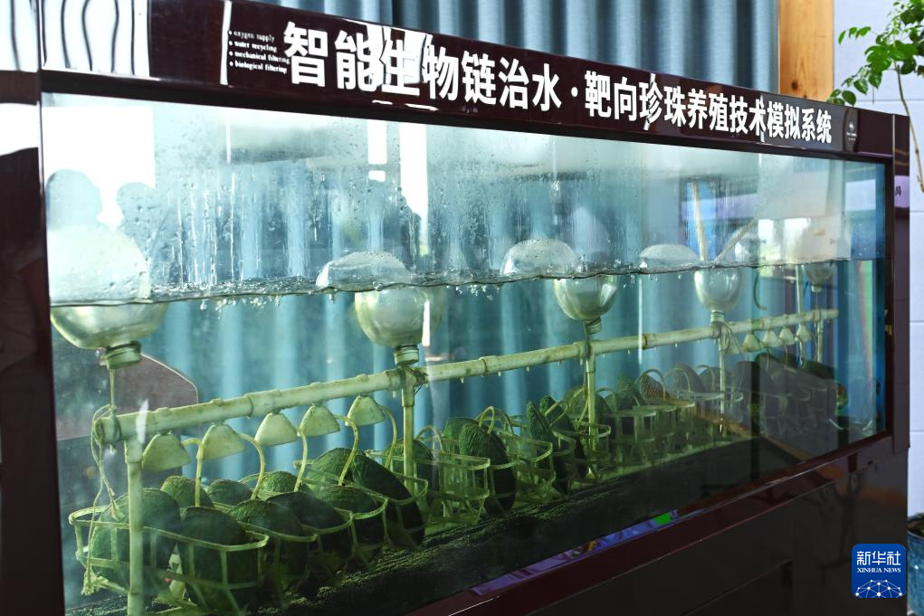 活力中国调研行｜产量占全球七成！这座“珍珠小镇”如何成就百亿大产业？(图2)