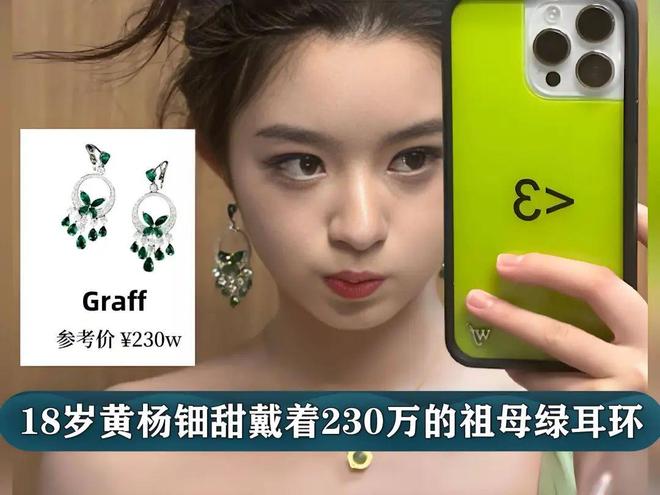 黄杨钿甜耳环事件让5月出现停止月捐潮捐了钱还要被说是仇富(图1)