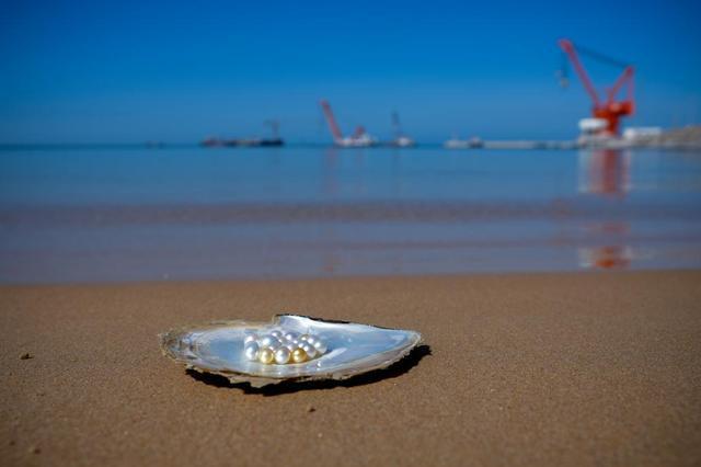 “两山”理念的核电实践：清洁能源绘就生态画卷(图7)