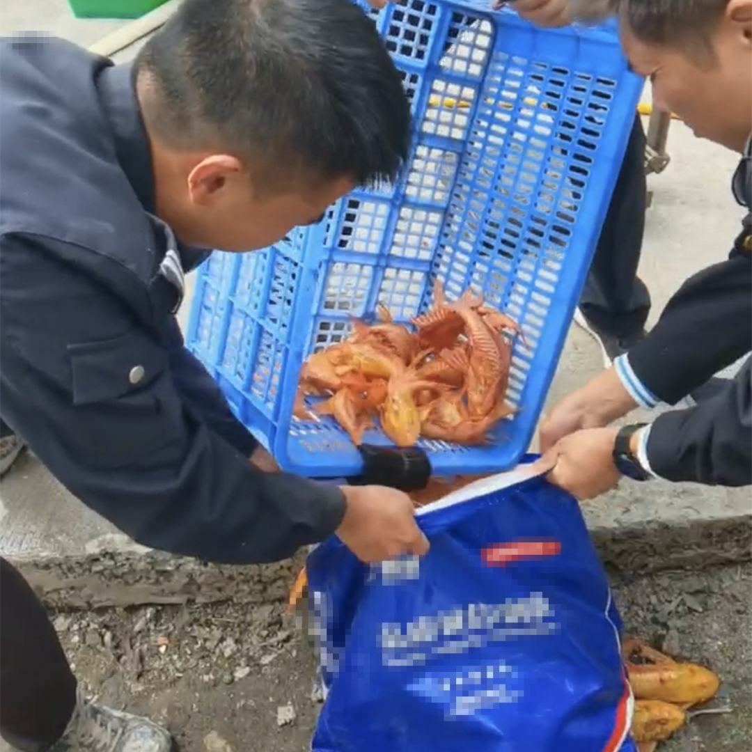 深入学习贯彻习近平法治思想 高质效履行法律监督职责“浙”里看见美丽中国(图5)