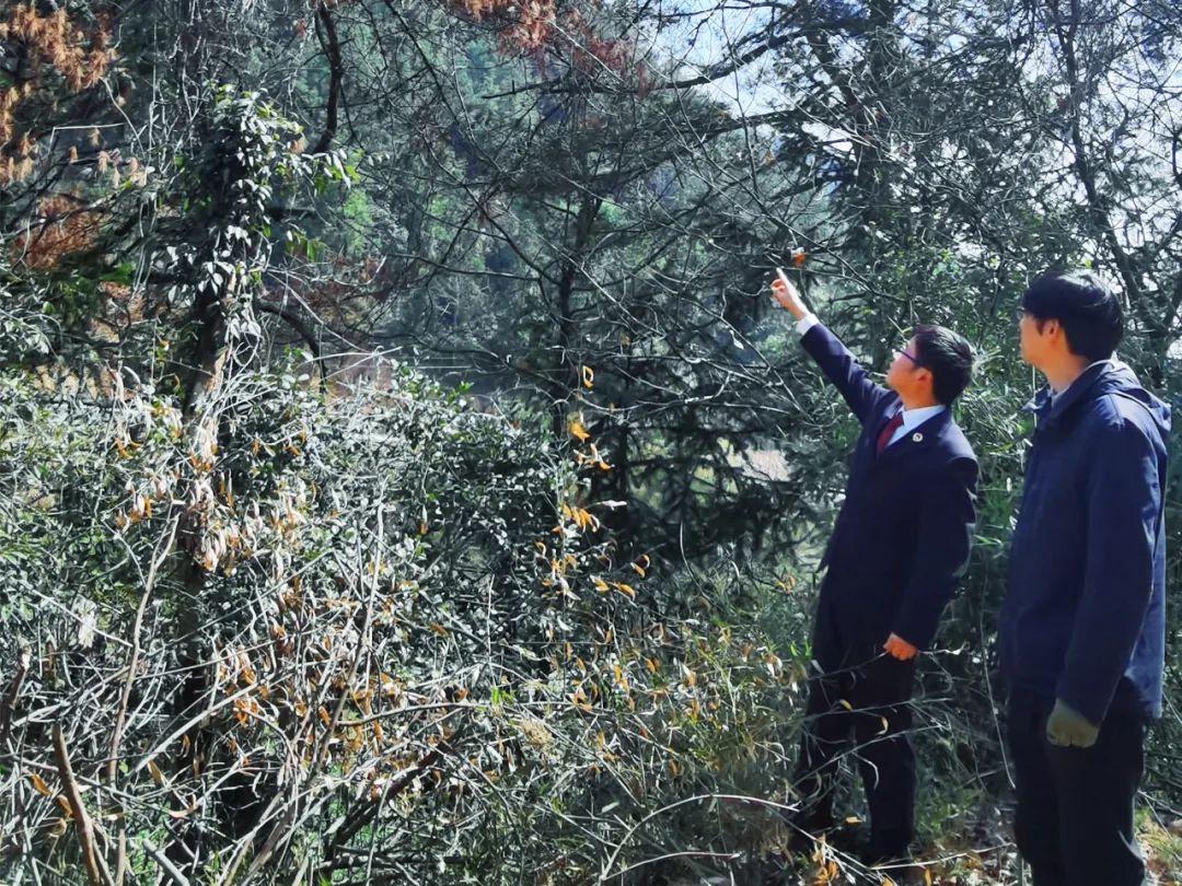 深入学习贯彻习近平法治思想 高质效履行法律监督职责“浙”里看见美丽中国(图7)