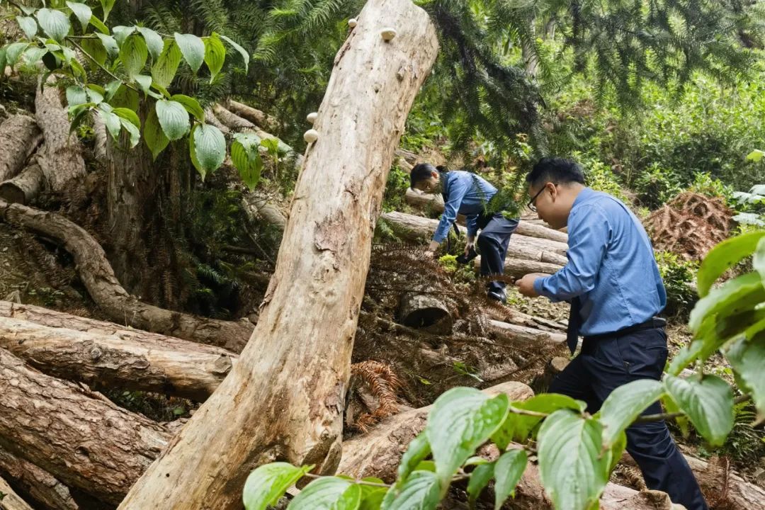 深入学习贯彻习近平法治思想 高质效履行法律监督职责“浙”里看见美丽中国(图6)