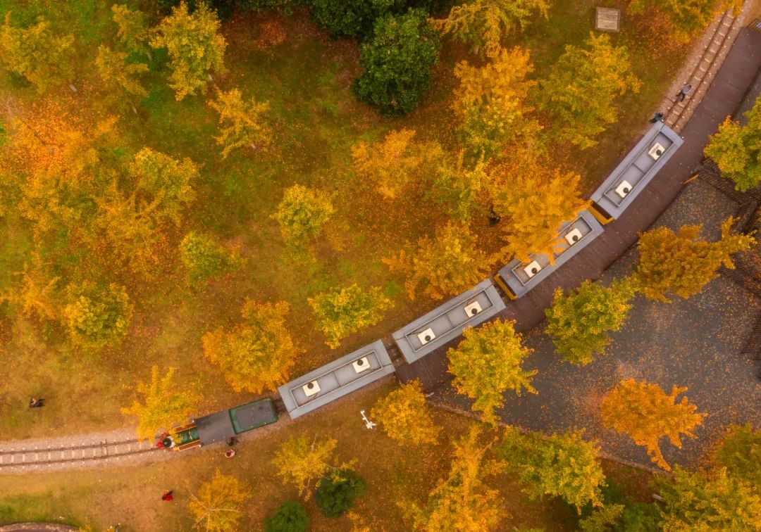 深入学习贯彻习近平法治思想 高质效履行法律监督职责“浙”里看见美丽中国(图8)