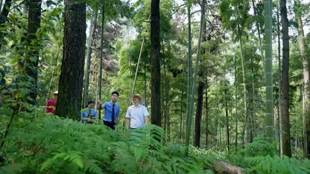 深入学习贯彻习近平法治思想 高质效履行法律监督职责“浙”里看见美丽中国(图11)