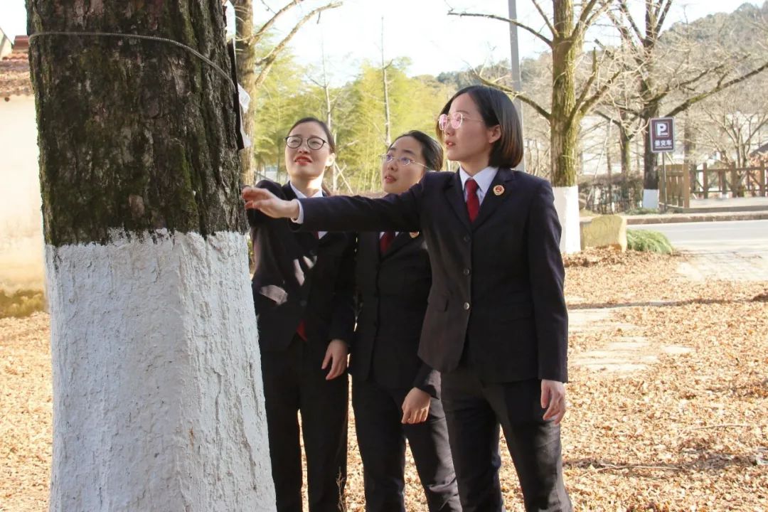 深入学习贯彻习近平法治思想 高质效履行法律监督职责“浙”里看见美丽中国(图9)