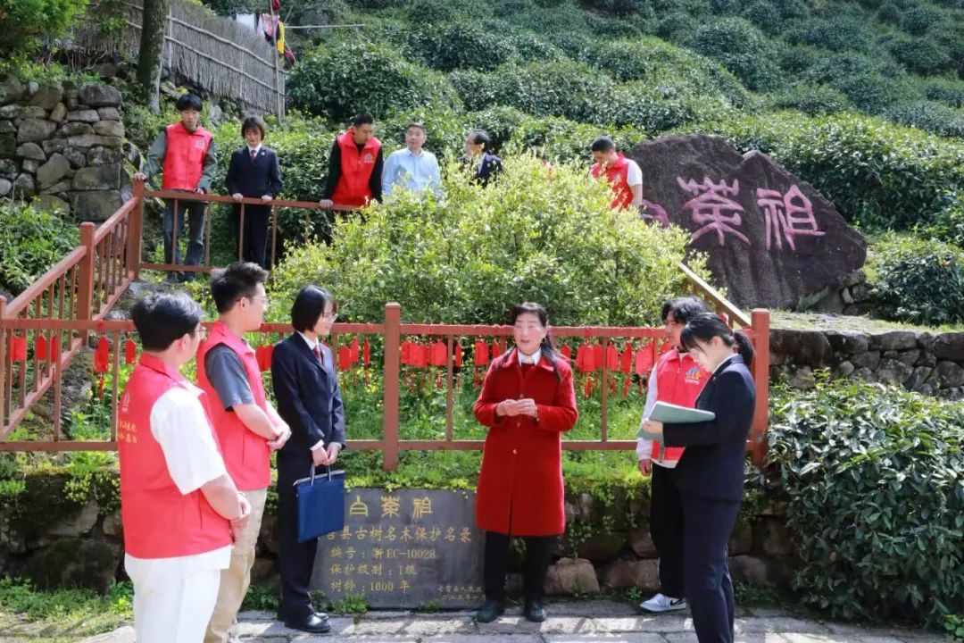 深入学习贯彻习近平法治思想 高质效履行法律监督职责“浙”里看见美丽中国(图10)