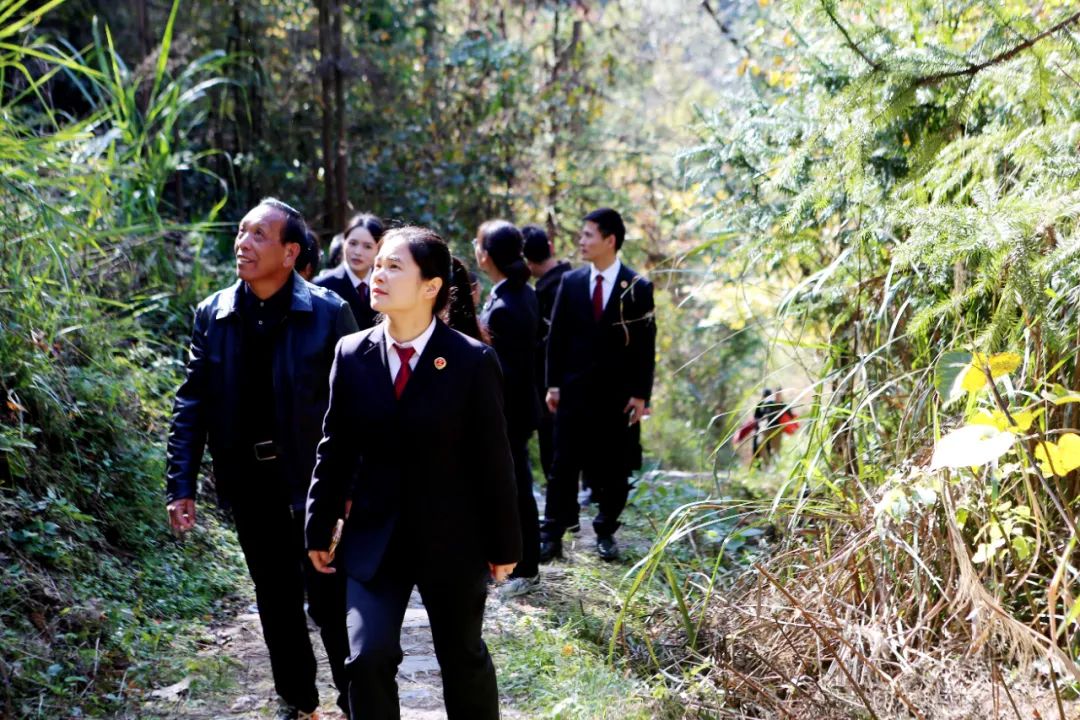 深入学习贯彻习近平法治思想 高质效履行法律监督职责“浙”里看见美丽中国(图12)