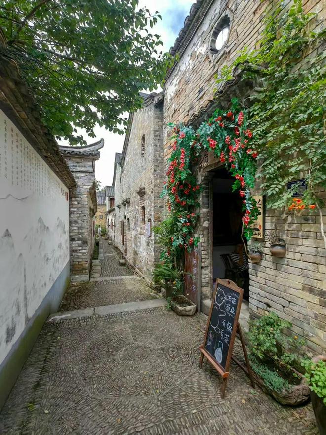 农民日报 跨越20年的绿色回响——浙江省推进乡村生态与经济协调发展掠影(图3)