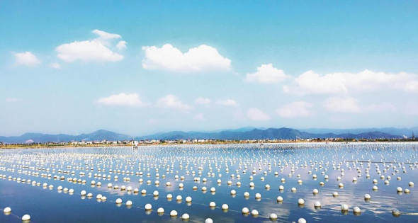 全国生态日｜绍兴举办两山理念二十周年主题活动(图2)