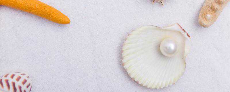 人工养殖珍珠如何形成(图1)