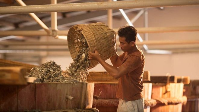 东南亚海岛千篇一律？免签直飞的富国岛竟藏着这么多惊喜玩法！(图11)