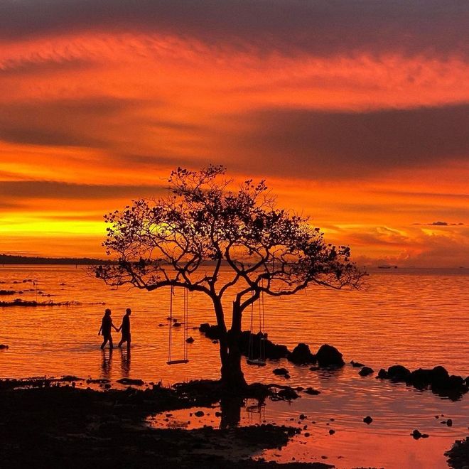 东南亚海岛千篇一律？免签直飞的富国岛竟藏着这么多惊喜玩法！(图12)