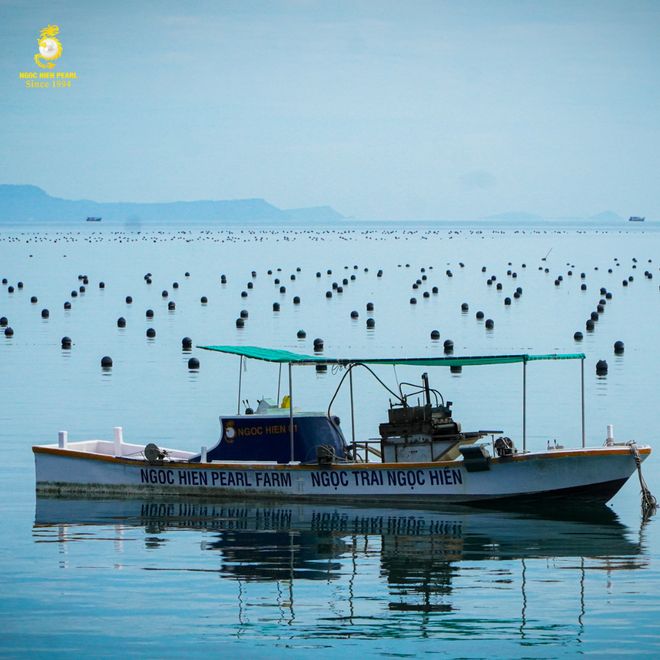 东南亚海岛千篇一律？免签直飞的富国岛竟藏着这么多惊喜玩法！(图49)