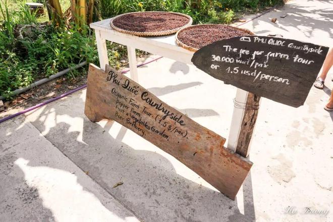 东南亚海岛千篇一律？免签直飞的富国岛竟藏着这么多惊喜玩法！(图53)