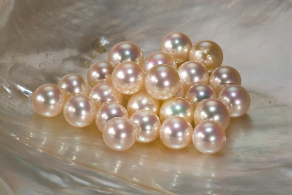 电子版 《山西广播电视报》2025年第35期(图1)