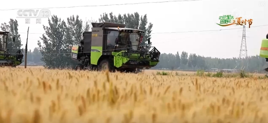 农业“大脑”护航“三夏”跑出加速度 紧盯产粮目标端牢中国人自己饭碗(图18)