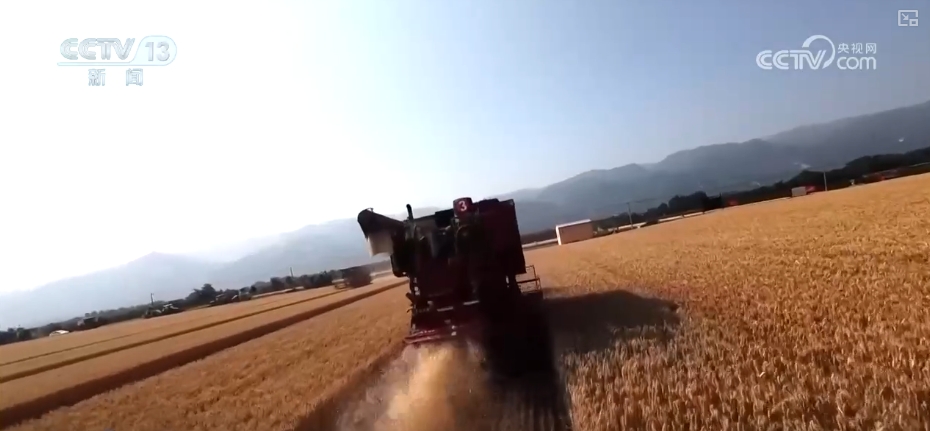 农业“大脑”护航“三夏”跑出加速度 紧盯产粮目标端牢中国人自己饭碗(图2)