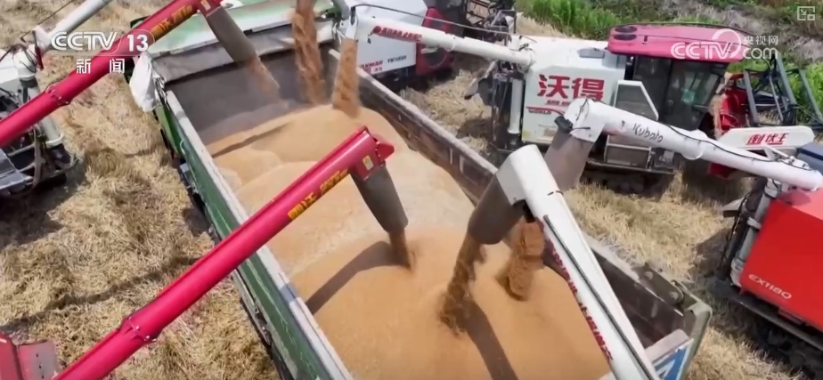 农业“大脑”护航“三夏”跑出加速度 紧盯产粮目标端牢中国人自己饭碗(图3)