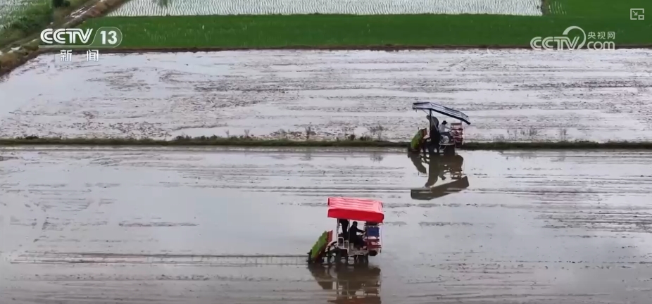 农业“大脑”护航“三夏”跑出加速度 紧盯产粮目标端牢中国人自己饭碗(图6)