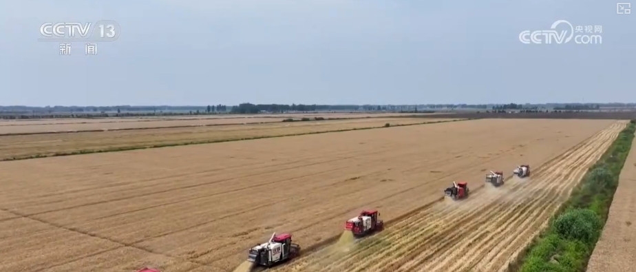 农业“大脑”护航“三夏”跑出加速度 紧盯产粮目标端牢中国人自己饭碗(图14)