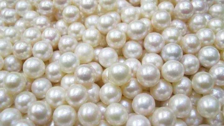 乘自贸东风海南民营经济闯出新天地！(图1)