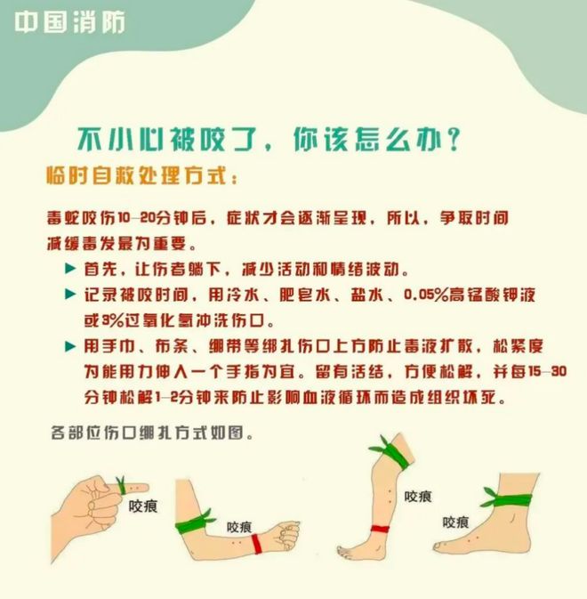 “三亚旅游被不明物咬伤身亡27岁女子”死亡记录：曾诊断为不明生物咬伤(神经毒蛇) 等(图6)