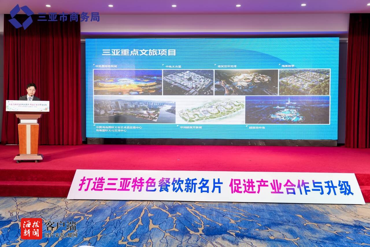 2025年三亚特色餐饮产业链全国推介会（武汉站）举办(图2)