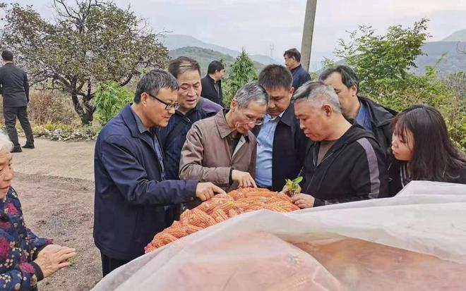 差点失传的“种子芯片”！专家偶然发现老人为哄孩子种了几十年(图5)