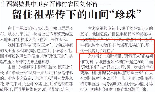 差点失传的“种子芯片”！专家偶然发现老人为哄孩子种了几十年(图7)