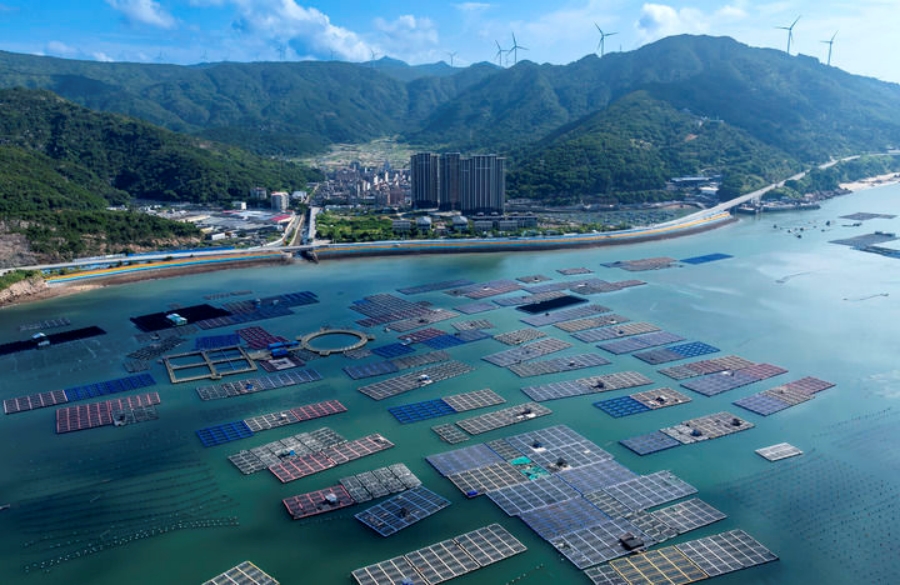 精耕深蓝加快建设海洋强国——“中国经济圆桌会”聚焦海洋经济高质量发展(图10)