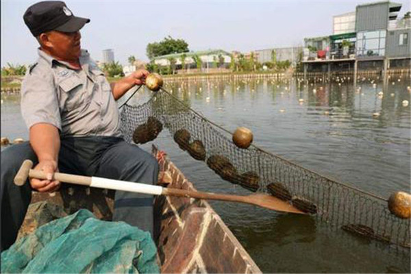 从“单点闪耀”到“系统重塑”——看万年县特色农业如何通过品牌升级重构产业价值(图1)