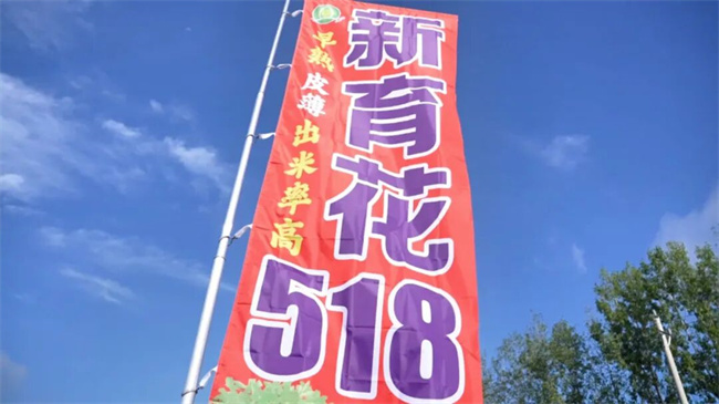 珍珠豆型花生品种新标杆：新育花518正阳观摩会给出硬核答案(图2)