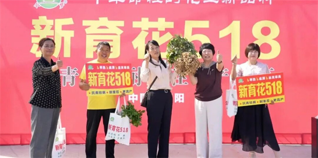 珍珠豆型花生品种新标杆：新育花518正阳观摩会给出硬核答案(图5)