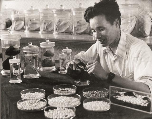 从养殖到设计开江珍珠全链崛起！西部珍珠产业发展大会暨珠宝博览交易会即将在四川开江开幕(图1)