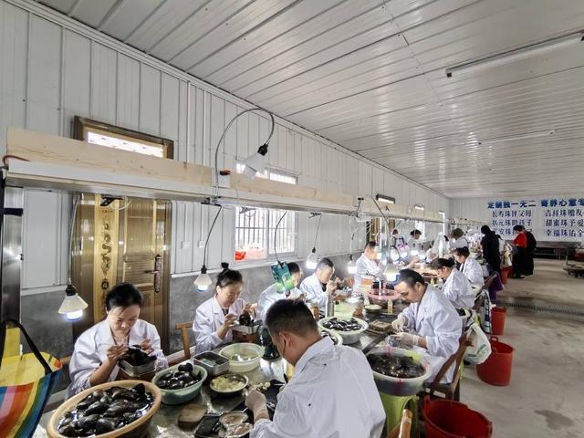 一颗小珍珠将串起百亿大产业 首届西部珍珠产业发展大会在四川开江举行(图1)