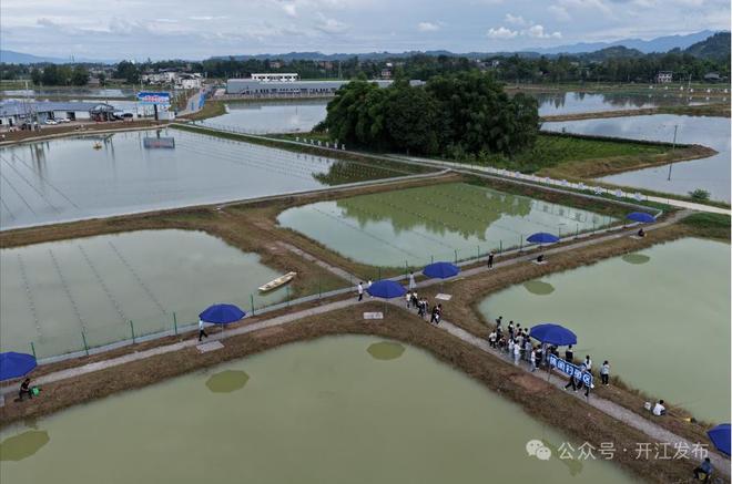 扛起西部珍珠产业发展大旗四川开江剑指百亿级产业目标(图2)