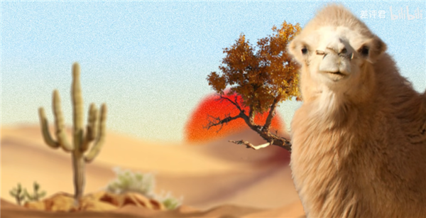 中国治沙47年 竟然不是为了消灭沙漠(图6)