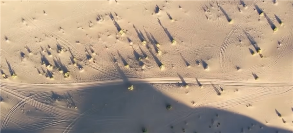 中国治沙47年 竟然不是为了消灭沙漠(图7)