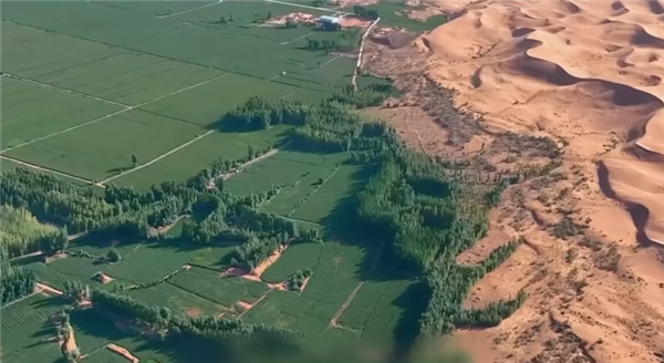 中国治沙47年 竟然不是为了消灭沙漠(图15)