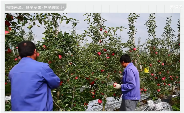 中国治沙47年 竟然不是为了消灭沙漠(图17)