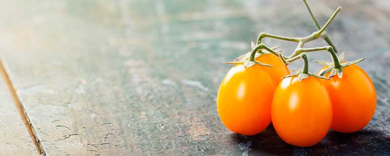 黄的小番茄是什么水果 黄的小番茄是什么(图1)
