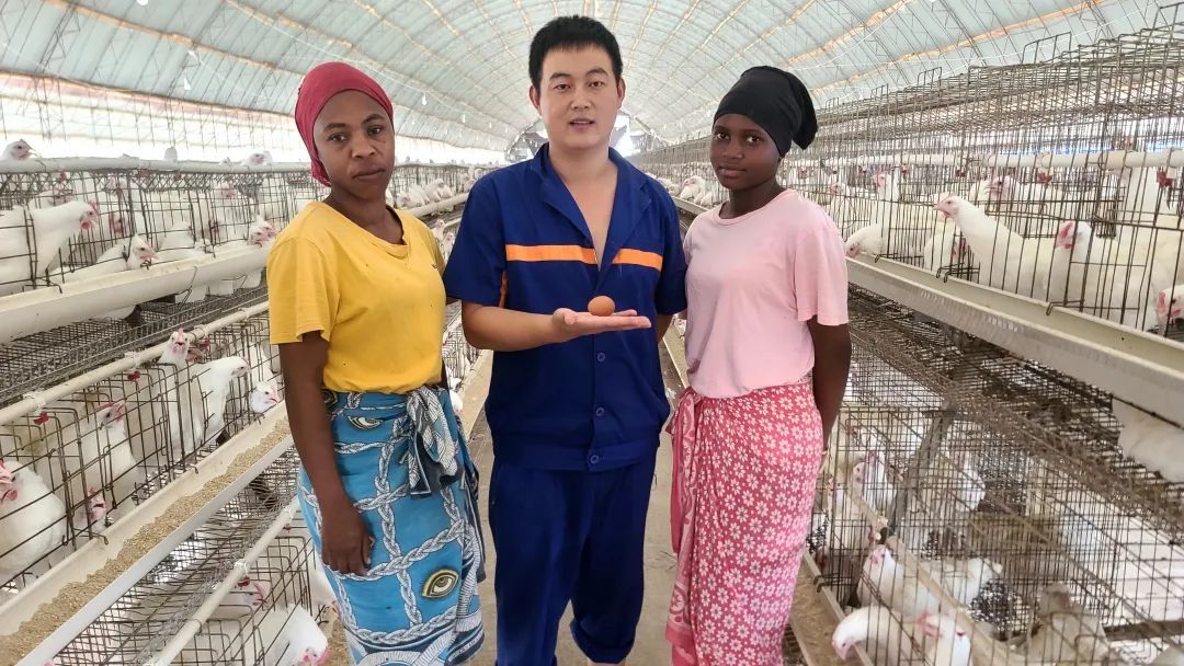 种业之都北京振兴步履铿锵！(图3)